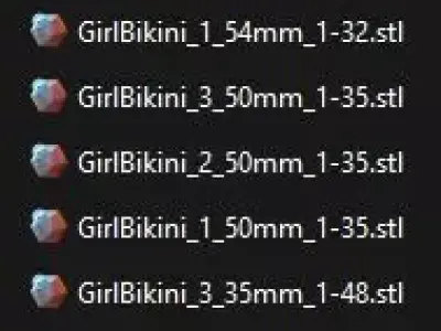 Bikini car girls set 1 for scales 1-64-87-43-48-35-32-24-20-18 3D print model