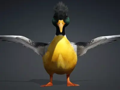 Duck-B1 3D model