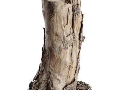  Medium Cut Bare Splintered Stump Model 