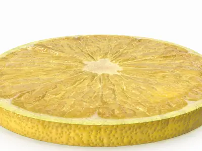  Lemon Slice(1) 