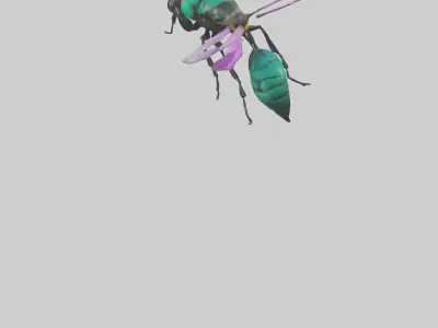 Cattleya Orchid bee flying model 3D model