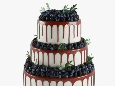 Wedding Berry Cake 02 