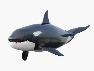  Set of Sea Animals Rigged 8K Low-poly 3D model