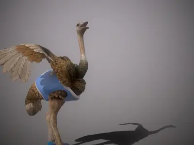 Nandu  Uruguayan sports mascot animated Low-poly 3D model