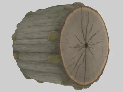 Treetrunk Model Low-poly 3D model