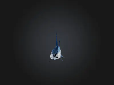 White marlin Low-poly 3D model