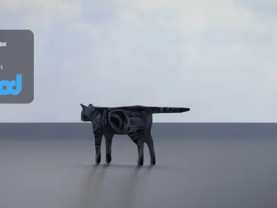 Cat American Shorthair 3D model