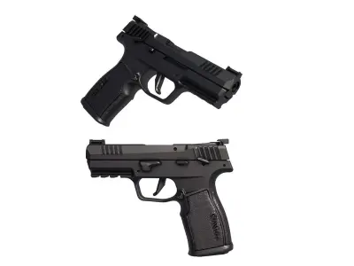 P322 COYOTE TACPAC 3D print model