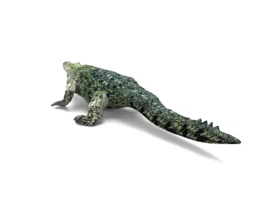 3D crocodile alligator Model  Low-poly 3D model