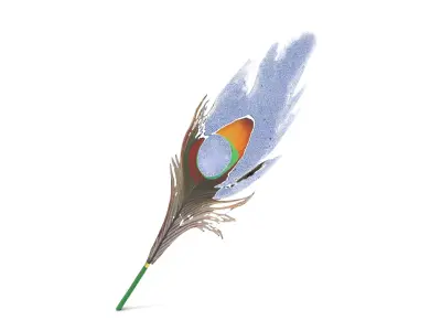 Peacock Feather Detailed Model Pack for Realistic Simulations Low-poly 3D model
