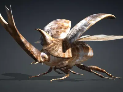 Stenocara A4 Free 3D model