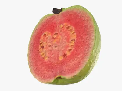 Pink Guava Collection 2 3D model