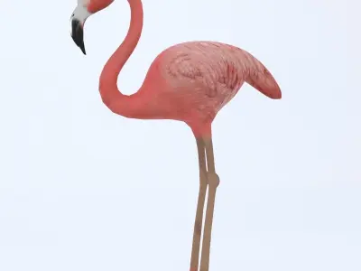 Flamingo checkered Low-poly 3D model