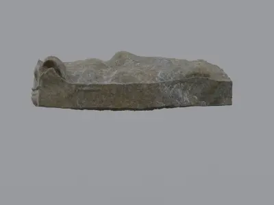Ancient Plant Fossil 3D model