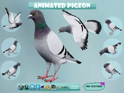 Realistic Animated Rock Pigeon Low-poly 3D model