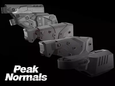 5 Holsters Pack
