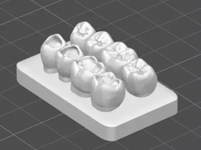 Occlusal Restoration Training Models  Upper and Lower 3D print model purchase