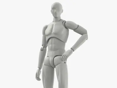 Male Mannequin Rigged 3D model