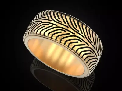 Car tires ring protector version 6 3D print model