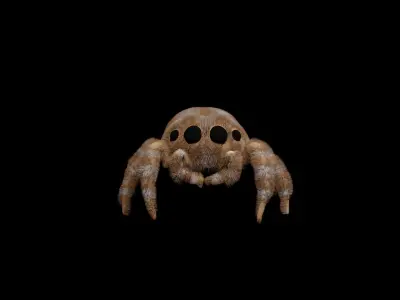 Jumping spider Free low-poly 3D model
