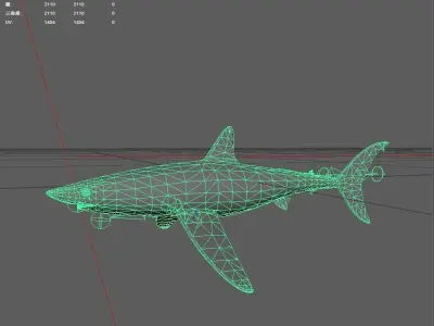 Shark Low-poly 3D model 33