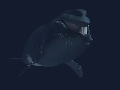 Right Whale 3D model