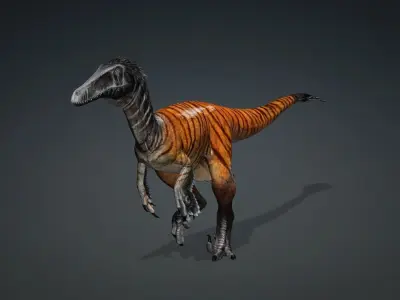 Austroraptor dinosaur 3D model type of dinosure Free 3D model