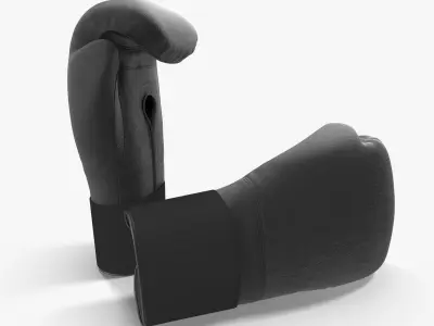 Boxing Bag And Gloves Generic Collection 2 3D Model Pack