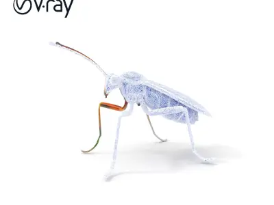 Realistic Insect Model Pack for Virtual Environments Low-poly 3D model