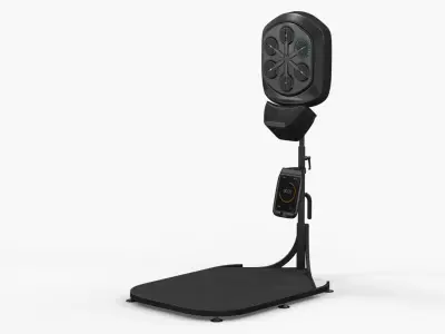 Freestanding Boxing Reflex Trainer Black 3D model