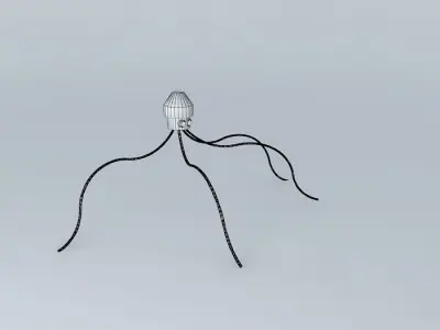 calamari squid Free 3D model