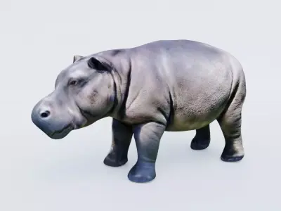 Hippopotamus Free 3D model purchase