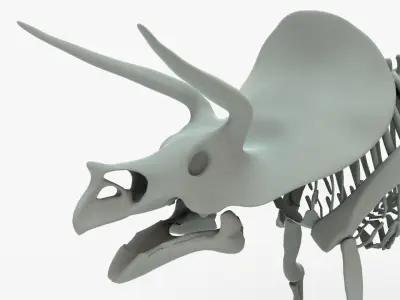 Triceratops Rigged Skeleton Low-poly 3D model