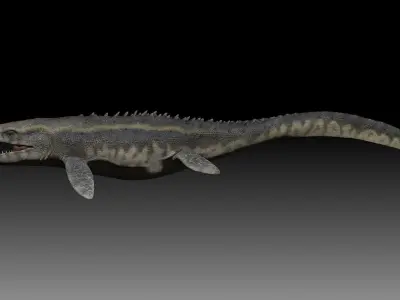 Mosasaurus 3D model 3D model