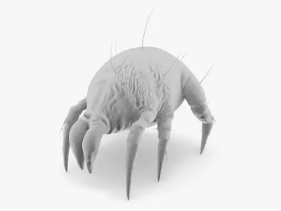 Dust Mite 3D model purchase