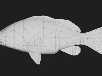 Grouper Low-poly 3D model buy