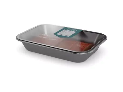 Salmon and salmon products Salmon Fillets 3D model