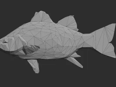 Low Poly White Bass Low-poly 3D model