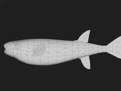 Filefish Low-poly 3D model 5