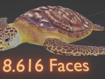 Sea turtle Low-poly 3D model