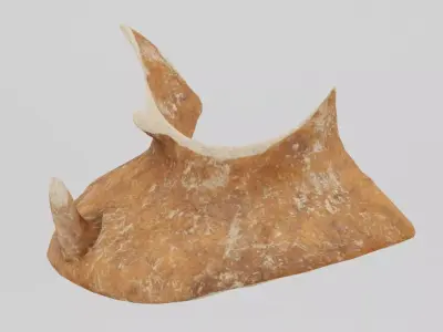 Broken Clay Pot Low-poly 3D model