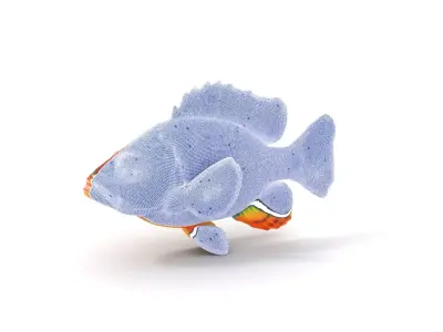 Vibrant Tropical Fish model pack Low-poly 3D model