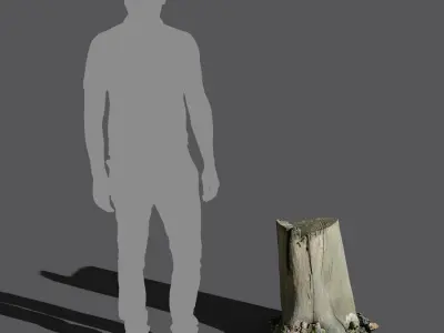  Medium Bare Cut Deciduous Forest Stump Model 