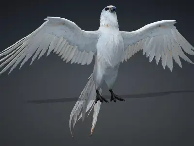 Hawk-A1 3D model