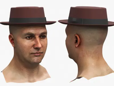 Pork Pie Hat Brown on Head 3D model