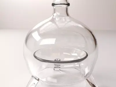 Fly Bottle 3D model