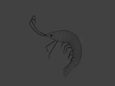 3D mini Shrimp  Low-poly 3D model