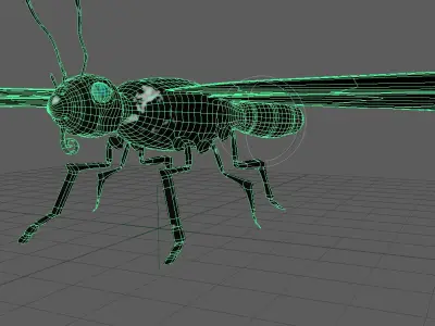Butterfly 3D model order