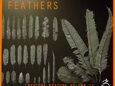 FEATHERS - 40 High poly sculpts and IMM Brush 3D model