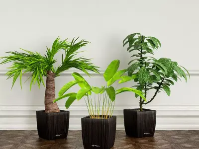 PLANTS 22 3D model